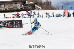 MG_9374rweb