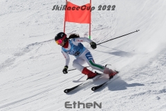 MG_1988rweb