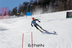 MG_2547rweb