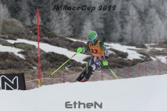 MG_3633rweb