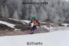 MG_3665rweb