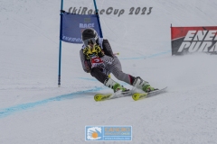 GSP_10398