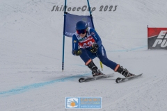 GSP_10547