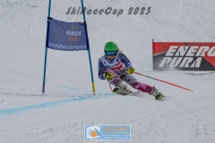 GSP_10598