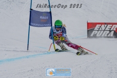 GSP_10599