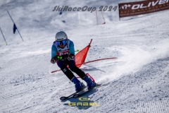 GSP_0234