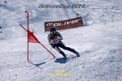 GSP_0539