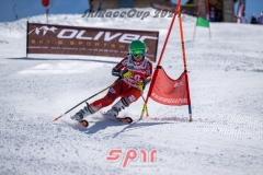 GSP_1686