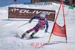 GSP_1735