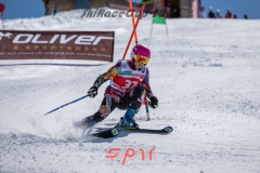 GSP_1803