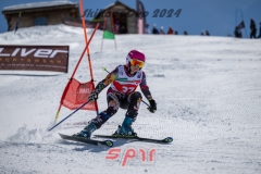 GSP_1804