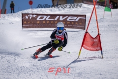 GSP_1828