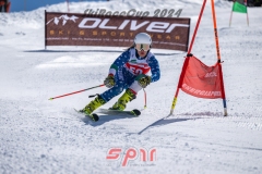 GSP_2007