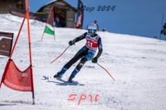 GSP_2014