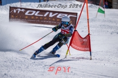 GSP_2018