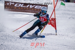 GSP_2019