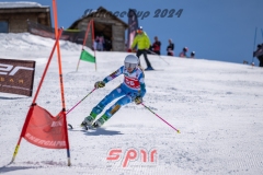 GSP_2096