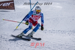 GSP_3010