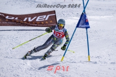 GSP_3153