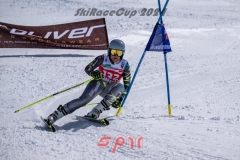 GSP_3154