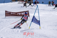 GSP_3493