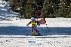 GSP_5365