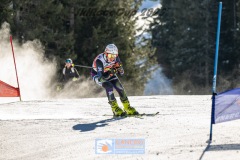 GSP_9391