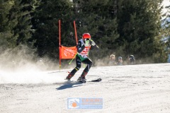 GSP_9553