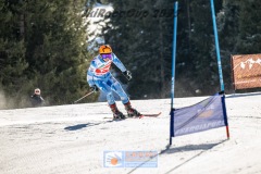 GSP_9785